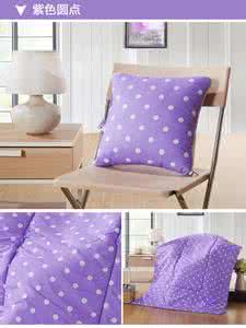 抱枕被子两用靠垫 抱枕被子两用靠垫 靠垫被的介绍 靠垫被价格