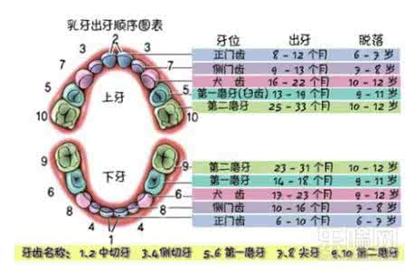 宝宝长牙顺序不对原因 宝宝长牙顺序