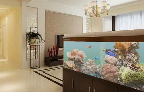 小客厅鱼缸摆放效果图 客厅鱼缸摆放效果图 客厅摆放鱼缸的6点需要注意