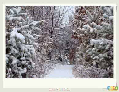 李白赏雪杂感 赏雪杂感 杂感之自己的可悲