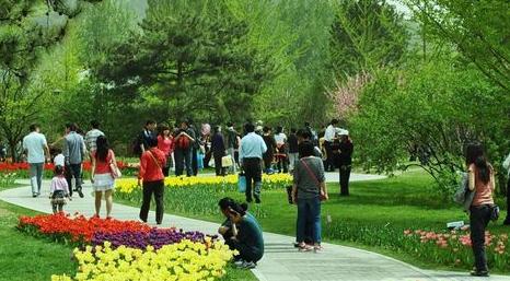 中医养生八大妙方 7大养生妙方 春天让人们更健康