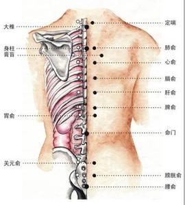 体内湿气重可以拔罐吗 体内湿气重拔罐穴位 体内湿气重按什么穴位？