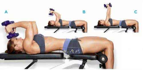 高强度肌肉锻炼计划 “进阶101”法 大肌肉群 大强度锻炼