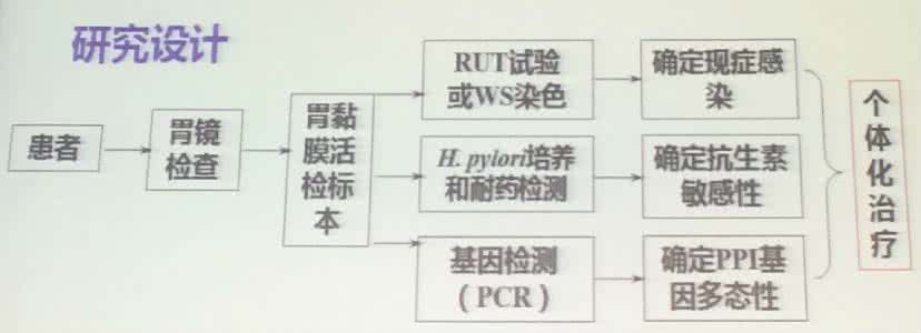 幽门螺杆菌四联疗法 新四联疗法可有效根除抗生素耐药的幽门螺杆菌