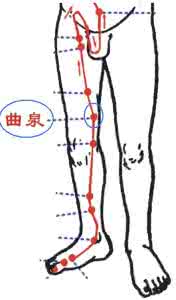 曲泉和阴谷怎么辨别 曲泉穴定位和主治