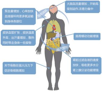 重大疾病保险的好处 常运动对六种疾病有好处