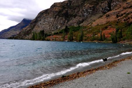 新西兰皇后镇游记 新西兰游记【4】：皇后镇的礼拜六