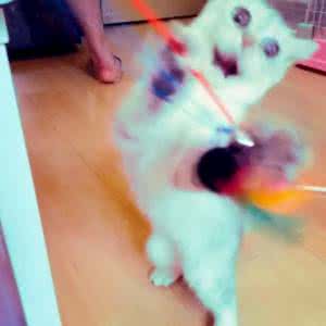 温暖无声却有灵 终于，你温暖了别人，却累死了自己！