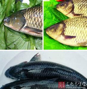 红烧鱼的做法视频教程 红烧鱼的做法 教你制作红烧鱼的多种方法