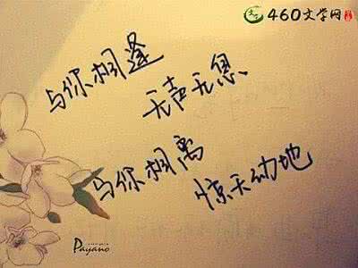 杨宁素杨凝冰目录 心情句子:凝目冬至,那一缕心绪似曾旧识,该有怎样的你我,才能留在生命的阡陌?