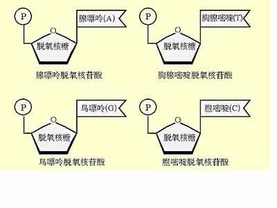 课的一般结构 课的结构