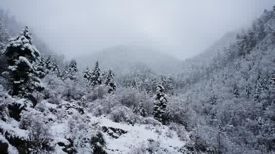 梦见大雪纷飞 梦见大雪纷飞 梦见大雪