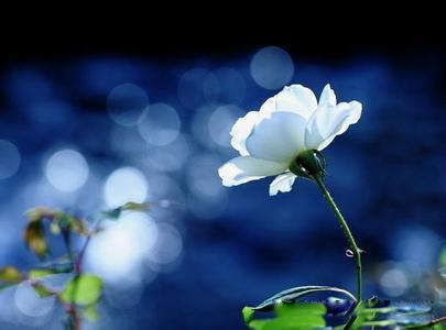 万物从容大师从容 万物从容