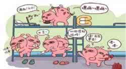 伊斯兰教不吃猪肉 为什么伊斯兰教不吃猪肉，给大家科普一下！