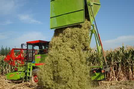 新疆畜牧业机械化状况 畜牧业机械化