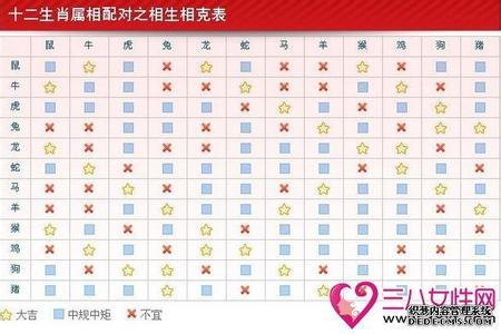 生肖老鼠与蛇相克吗 哪些生肖相克 生肖鼠会与哪些生肖相克,话不投机半句多