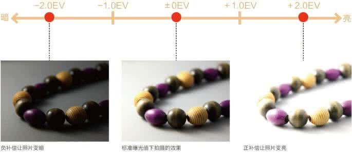 摄影入门基础知识 摄影基础知识入门 摄影入门对焦的基础知识
