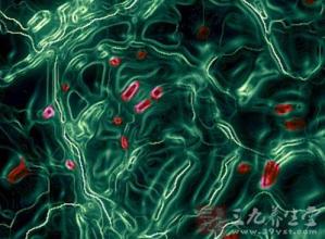 80老年人便秘特效偏方 【老人喜讯】图荐《特效方:补气血!》