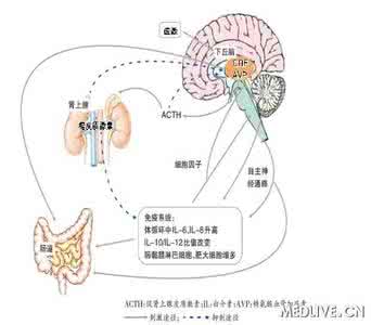 肠易激综合征 肠易激综合征 它竟然跟情绪有直接关系