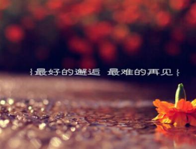 伤感的句子 秋天的伤感句子