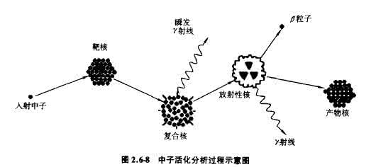 活化剂 活化分析