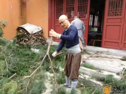 行住坐卧皆是禅 搬柴运水皆是禅