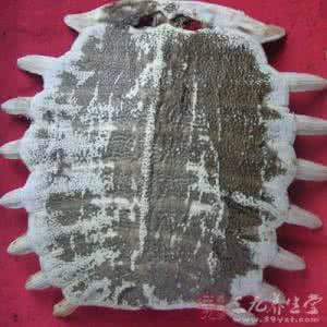 17万当垃圾扔掉 这种垃圾可增寿 千万别扔掉它们