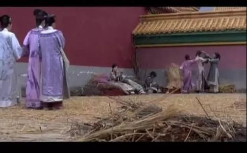 一世倾城 冷宫弃妃 “冷宫”何在？(组图)