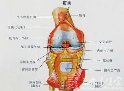 换膝关节的好处与坏处 女人的膝关节比男人的坏得快 是真的吗