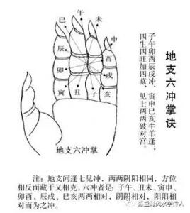 对冲伤 陈益峰：地支对冲伤寿命，破腹择日要避开