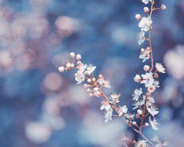 美丽世界 平淡 在平淡里看见精彩,在静默里的品味生动