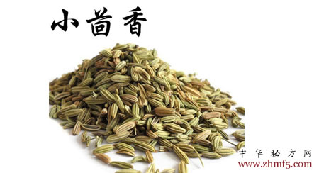 小茴香的功效与作用 小茴香图片 小茴香图片_小茴香的功效与作用