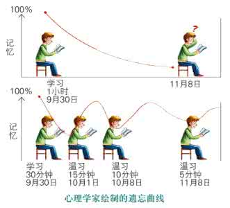 大脑记忆原理 改善记忆 改善记忆原理_改善记忆