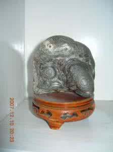 特效治疗胃病绝密秘方 【中医秘方】猪胃煮大蒜、特效治肾炎