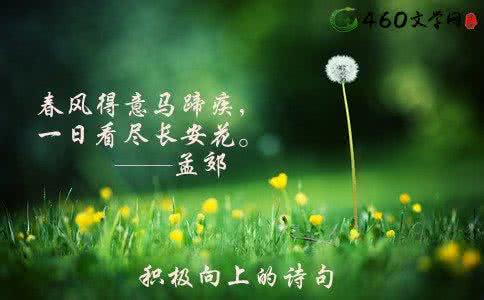 乐观的句子简短唯美 乐观积极向上唯美句子