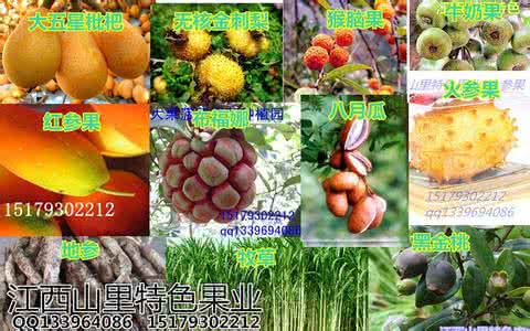 吃什么水果能降血糖 吃什么水果能降血糖 有一种水果是苦的，降糖补血，生活中到处都是