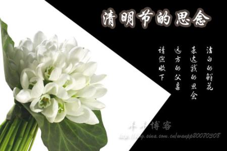 冰雪奇缘精美图片 【精美图文】◇相遇是缘◇