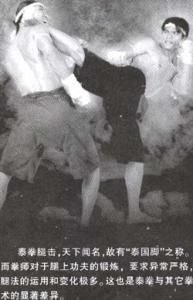 武术 鬼脚套路 武术 鬼脚