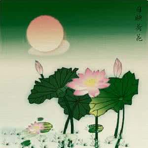 心灵杀手典藏版 【荡涤心灵的天籁梵音 典藏佛歌200首】大图长幅flash配图