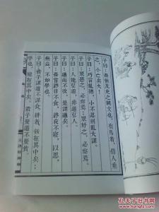 中医古籍珍藏本下载 珍藏本古籍·影印宋碛砂藏经（501-591卷）全