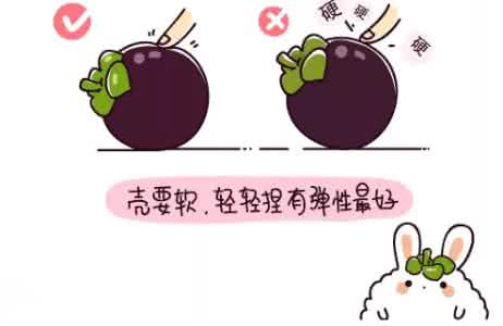 狗吃了一颗葡萄 吃了N年葡萄，才知道根本不用一颗颗洗！