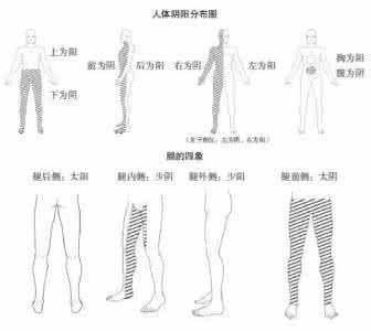 顶天立地的功夫 顶天立地的功夫 站桩二字，你理解正确了吗——解读《顶天立地的功夫》系列