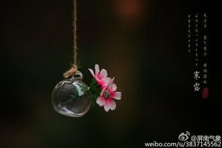 寒露节气 寒露时间 今年寒露节气是什么时候