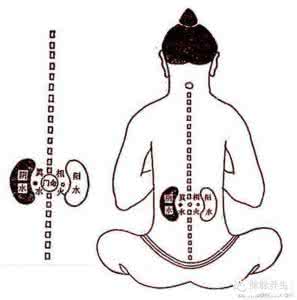 补肾秘方 百试百灵 补肾秘方，百试百灵！