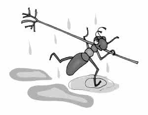 gt机器人 蚂蚁的生存哲学 >> 给人方便就是给己方便