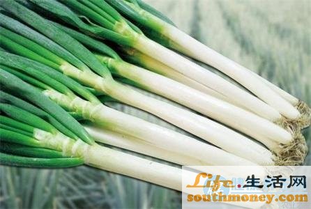 大葱壮阳 具有壮阳作用的重口味蔬菜：1、大葱