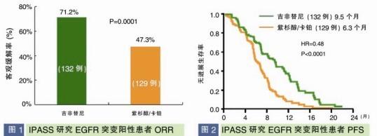 肺癌的中医特色疗法 肺癌支持疗法：40年的发展里程碑（国际肺癌研究学会40周年特刊综述）