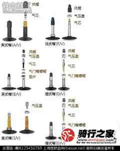 气的分类及来源 气的分类
