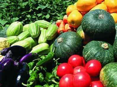 七种最有营养的蔬菜 七种最有营养的蔬菜 秋冬不可缺少的七种营养蔬菜！