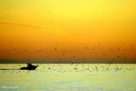 天使的眼泪 天使的眼泪（心情散文）